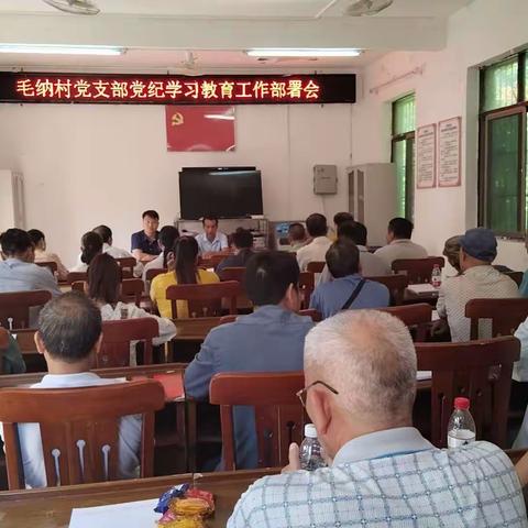 毛纳村党支部党纪学习教育工作部署会