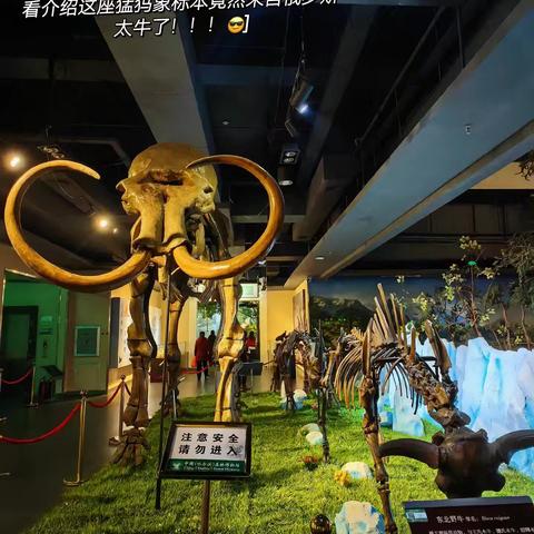 春生万物，美好启程 ———研学活动