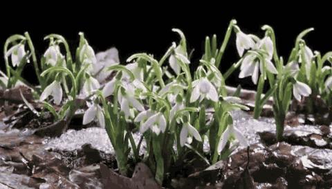 “博采众长谋智慧， 教研交流共成长”——沂堂镇中心小学教师读书交流会