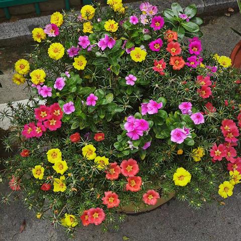 “采得百花成蜜后，为谁辛苦为谁甜？”2024-2025下学期个人工作总结