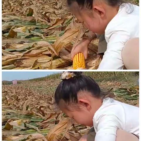 北高镇中心校辛寨小学 迎中秋庆国庆