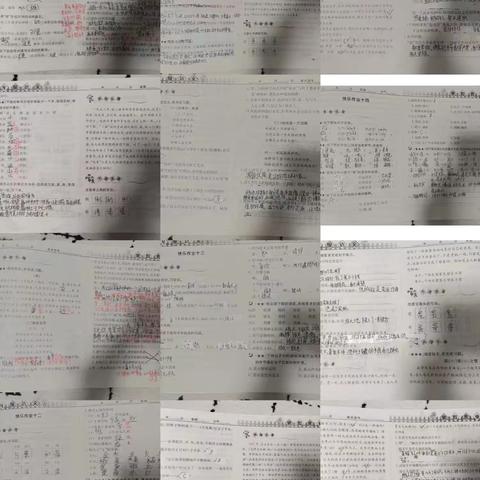 夏斌杰2.15-2.24号语文学业