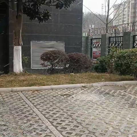 下雪了