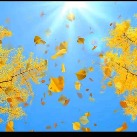 《秋光映课：三四年级数学赛课的诗意绽放》