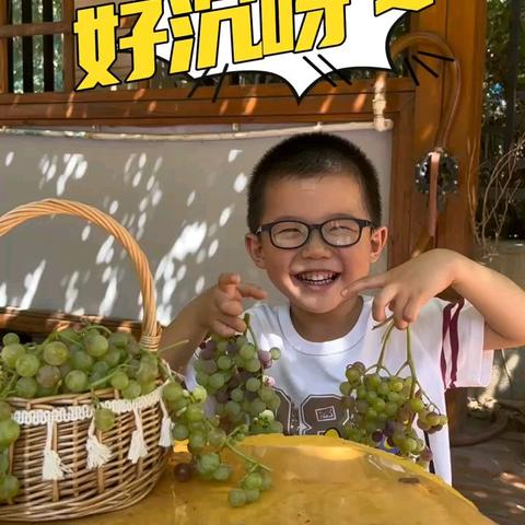 摘葡萄啦！