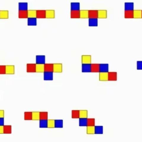 【503班陈昕】 长方体与正方体