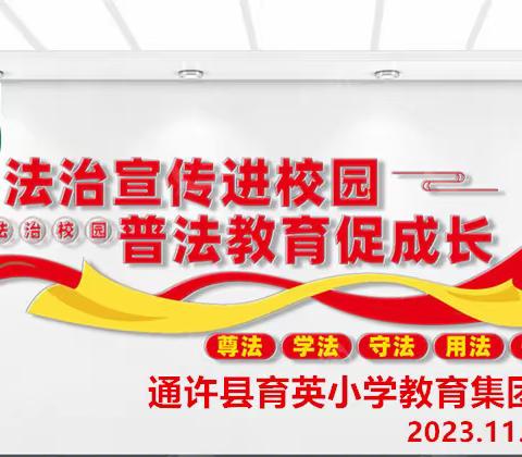 开封市未成年人保护项目成长红绿灯走进通许县育英小学