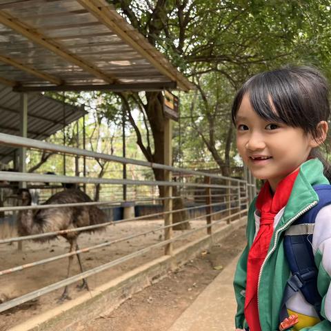 二4班秋游图（2）