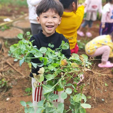 开展农耕园意义和目的
