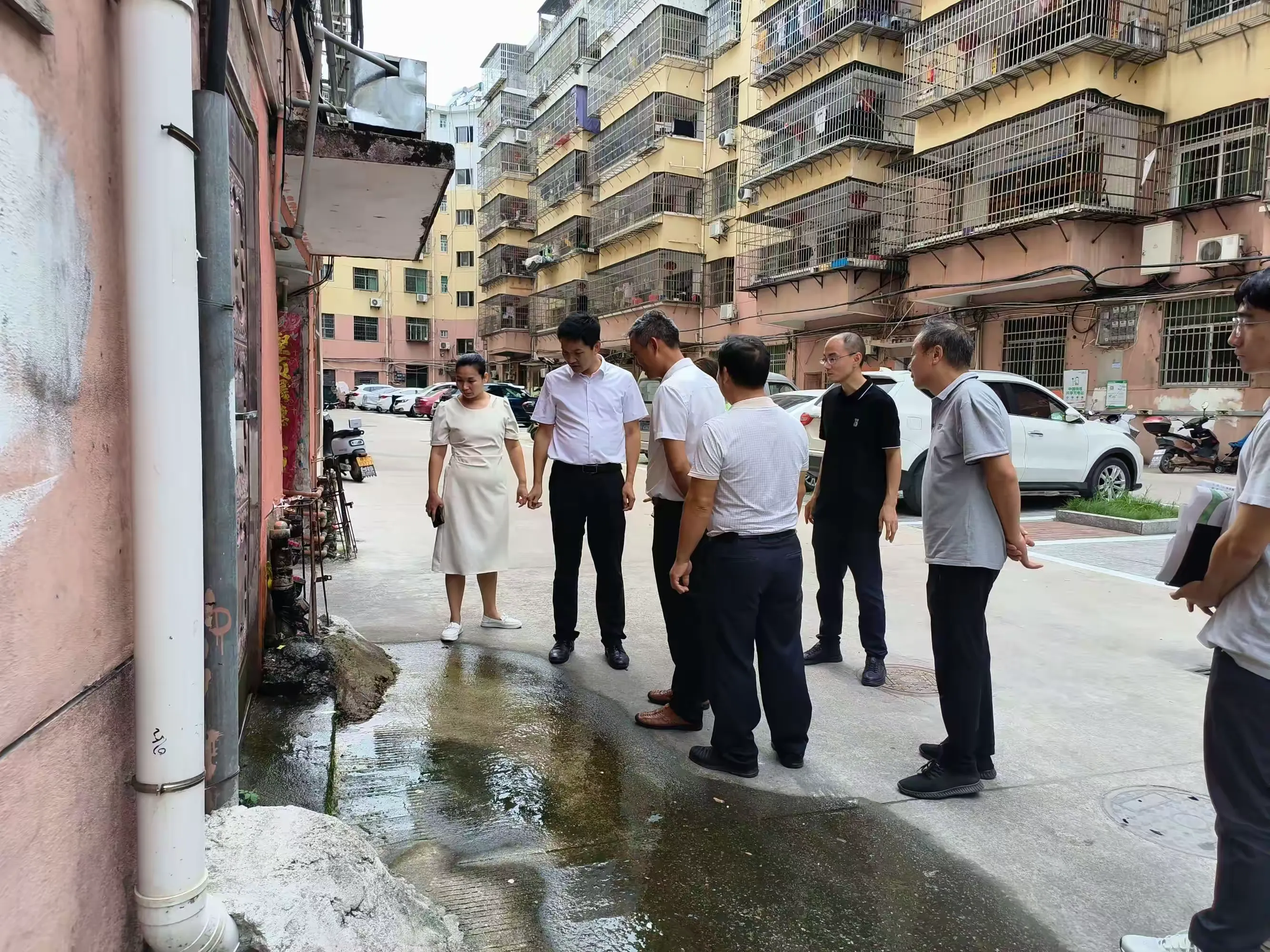 简篇-第二十一片区指挥长张光铖到创卫片区督导整改工作
