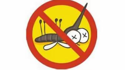 防蚊灭虫我们在行动——金华市社会福利中心和护理院开展蚊媒防制专项行动