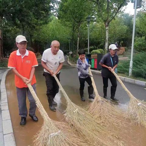 公园雨后齐上阵，清淤除障保通畅