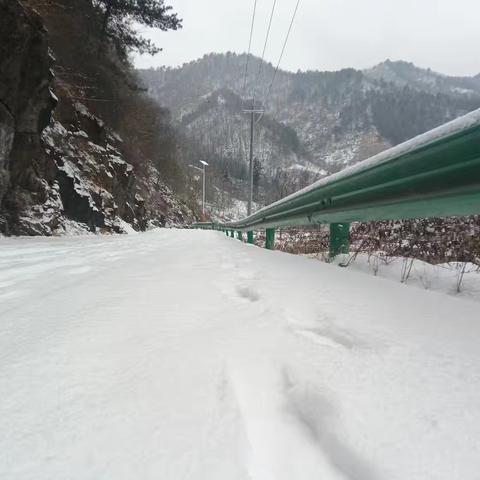 雪印