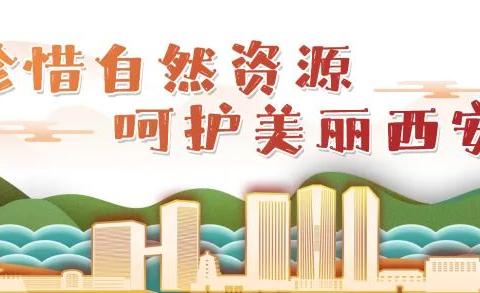 永久基本农田基本知识