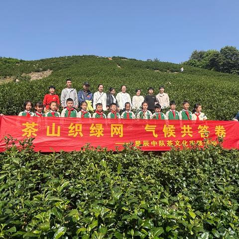 茶山织绿网 气候共答卷——星辰中队茶文化实践活动