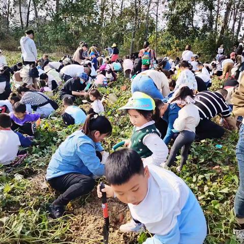 “亲近自然，拥抱秋天”—金外滩幼儿园寻找秋天主题活动