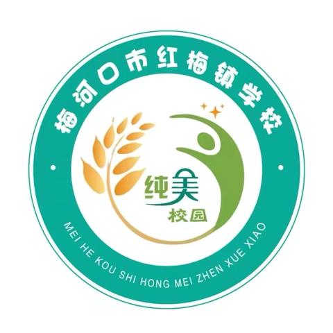 红梅镇学校“每天一节体育课”培训活动