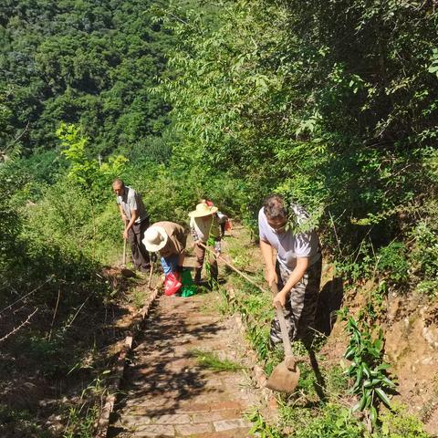 清杂草、除隐患，筑牢文物安全防线 —金锁关社区新时代文明实践站开展文物保护活动