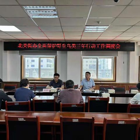 北关街道召开全面保护野生鸟类三年行动工作调度会