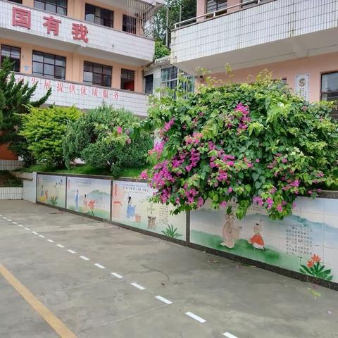“绿美校园，我们在行动”—铁厂小学创建绿美校园活动