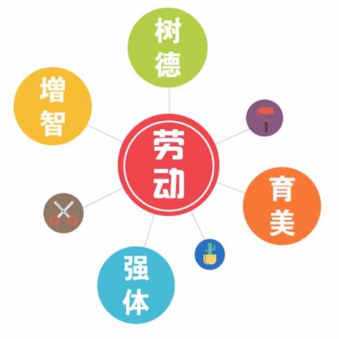 以“劳”树德，以“劳”育美——舞钢市第三小学一年四班劳动教育