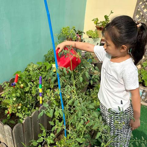 留“夏”回忆 时光有你——许梦萱小朋友👧🏻