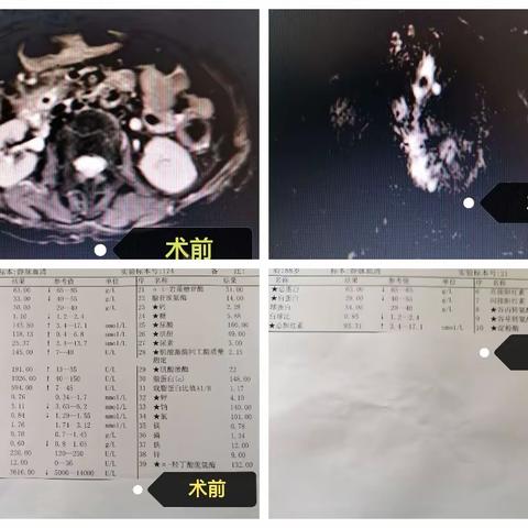 花仙子的简篇