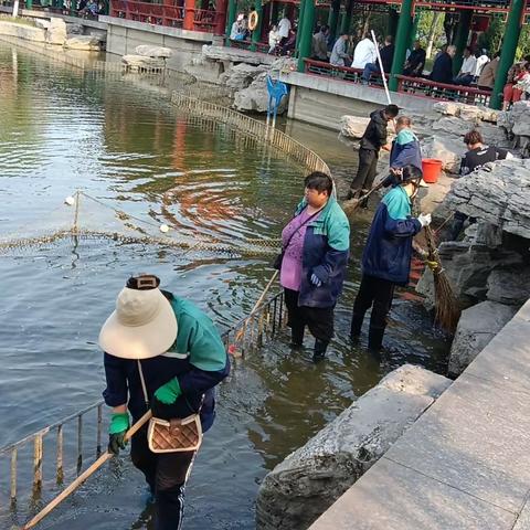 清理浅水区淤泥、治理湖水生长微生物和水草