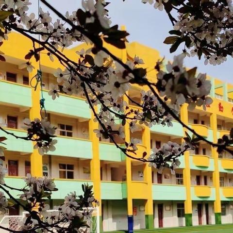 不负韶华研更进，听评互学教为先              ——记城关小学四、五年级数学组听评课活动
