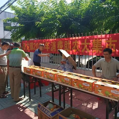 新龙镇举办2024年消费帮扶助农及种养殖技术培训活动