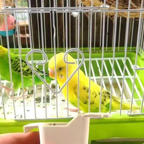 简篇