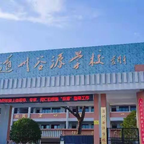 笃学不倦，不负韶华——2023年暑假骨干教师小学语文教师培训第三天