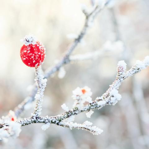 暴雪来袭 加强防范——北塔邱幼儿园暴雪极端天气安全提示