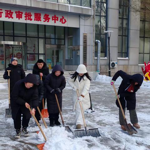 除雪铲冰人力齐,共建和谐笑颜开 ——区行政服务中心开展除雪行动