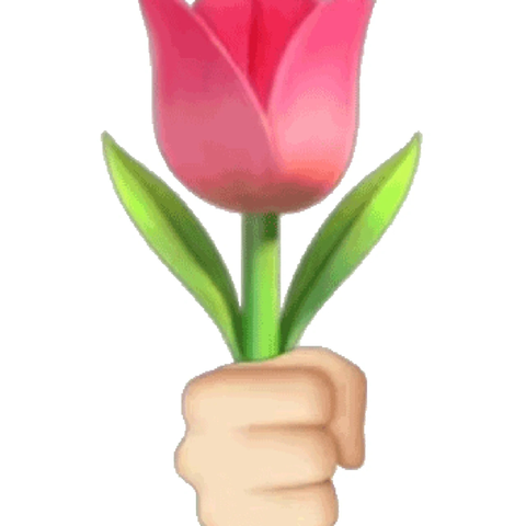 ——爱斯诺教育集团❤️4月29日～ A1班追随时刻❤️