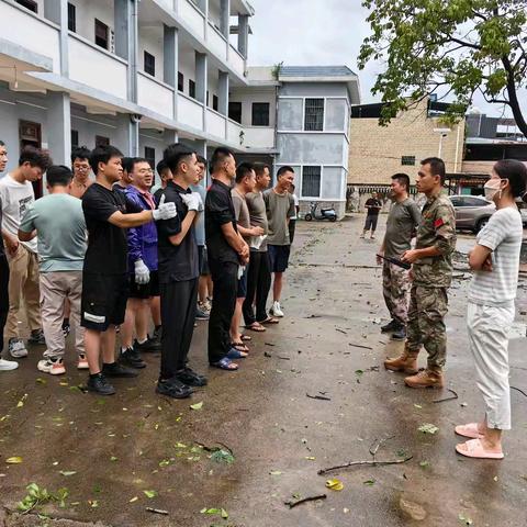 台风过后，加来镇全力以“复”