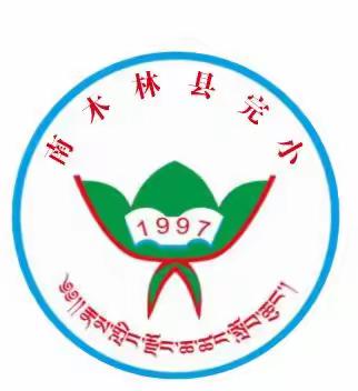 南木林县完小2023年“同运动 共团结 ”促“五项”推“双减”雏鹰杯足球赛