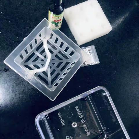 五角星花水培日志------陈思博