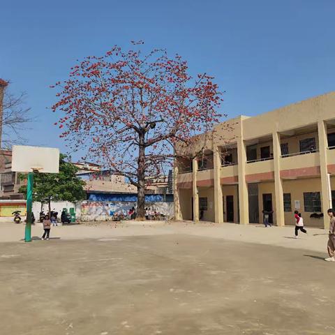 最美人间四月天，齐研共思谱新篇——陆丰市铜锣湖农场麻竹坑小学全场性英语交流教研活动