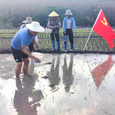 罗任村乡村振兴工作队开展以“党建引领促振兴  春耕助农暖人心”的主题党日活动