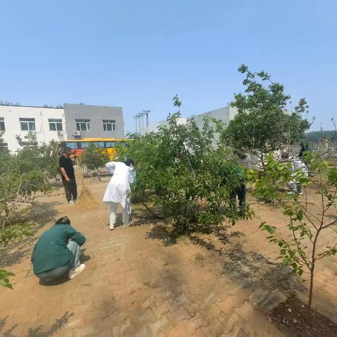 长滩镇中心卫生院安全生产专项行动