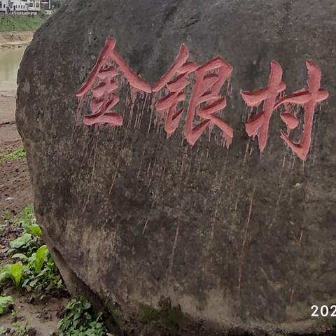 魅力米仓道，富强金银村（下）