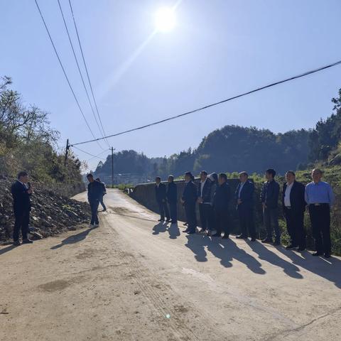 龙泉街道人大工作委员会 组织部分人大代表、居民代表 视察西山村松材线虫病防治工作