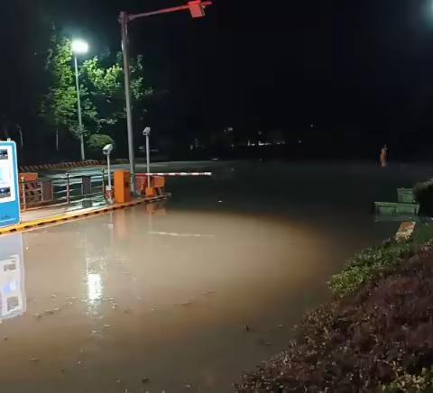 夜间急雨逆行而上    保畅朝阳党员先行