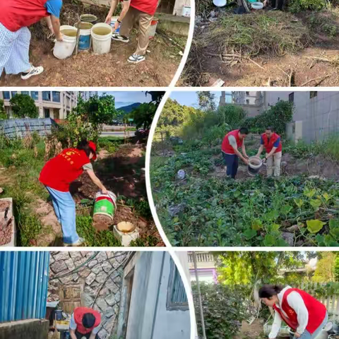 环境整治不停歇、爱国卫生齐行动——金古社区开展“迎双节”文明实践活动