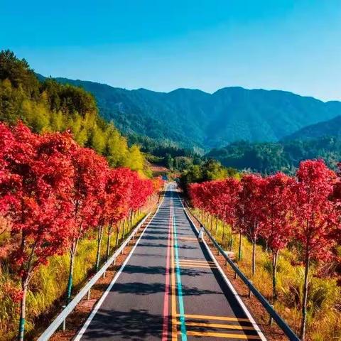 东江源“全国登山赛”2023年11月26日在江西安远的三百山景区。我参加了大众健身组比赛，体验徒步登山。总赛程13.5公里，贵在参与了。