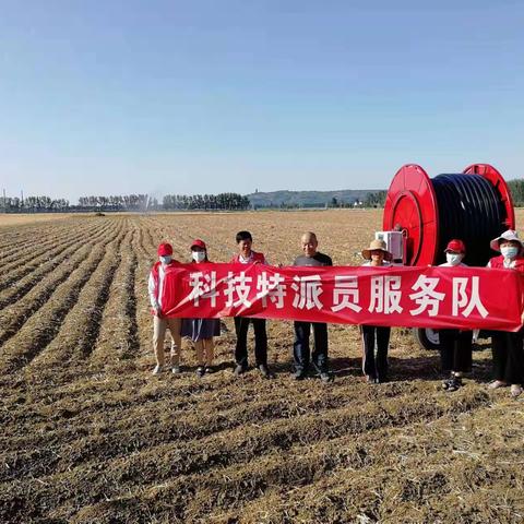 襄城县农业农村局种植业科技特派员深入湛北乡，山头店乡田间地头查看指导秋作物抗旱及播种情况。