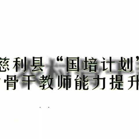 “国培计划”慈利县农村骨干英语教师能力提升培训活动第三天掠影