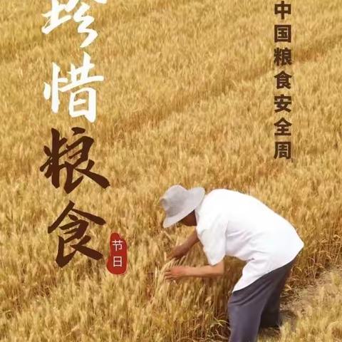 人行遂宁市分行节能办宣“爱粮节粮守护粮食安全——防止粮食浪费，我们在行动”世界粮食日和粮食安全宣传周倡议书