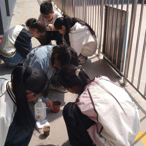 爱劳动，悦成长—任泽区邢家湾镇边家庄小学劳动教育实践活动